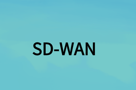 輸入軟件定義的廣域網(wǎng)(SD-WAN)