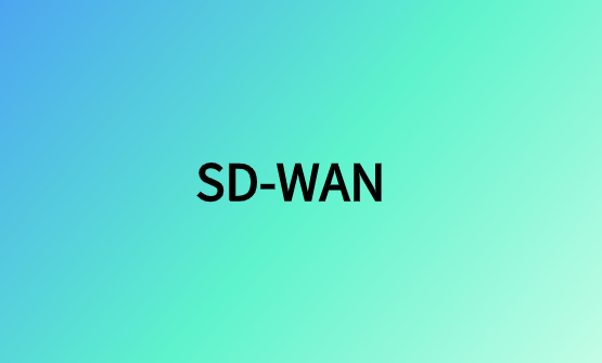 SD-WAN云網(wǎng)絡(luò)